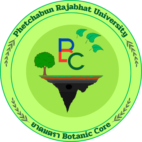 ยาดมยาดมตรา Botanic Core